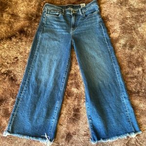 Size 30 Banana Republic Wide Leg Jeans